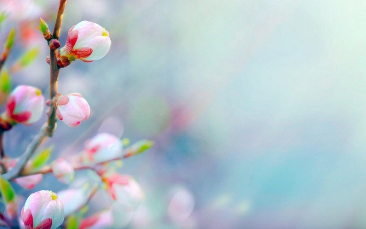 Весенний фон