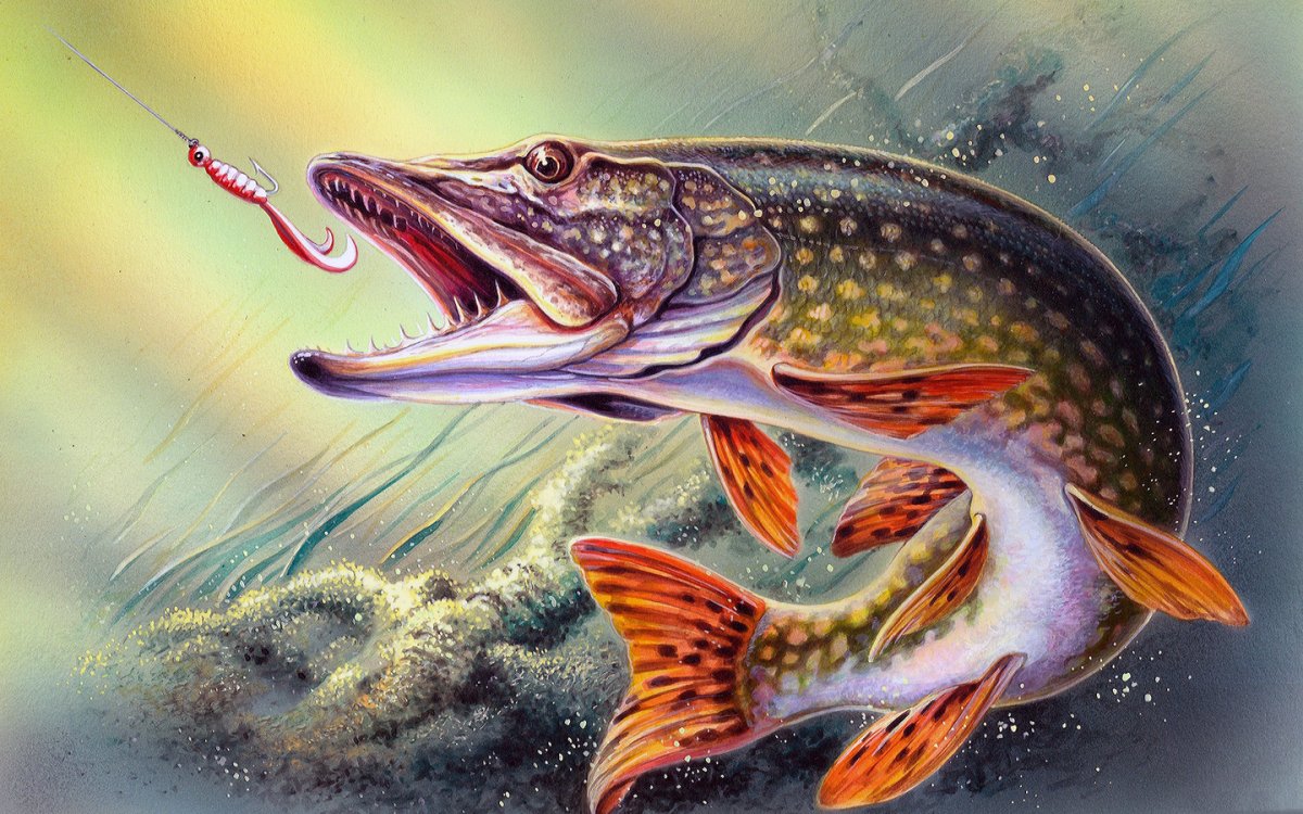 Гранни набор алмазной вышивки щука (AG 245) 38х27 см