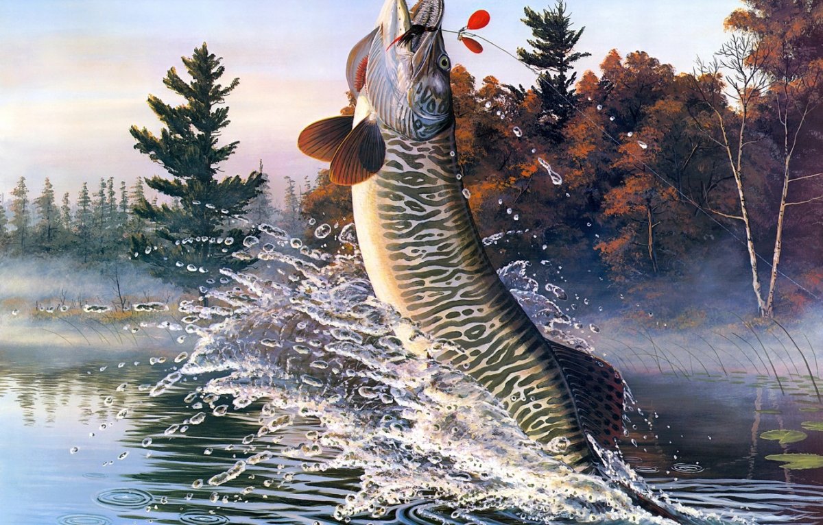 Щука Байкальская