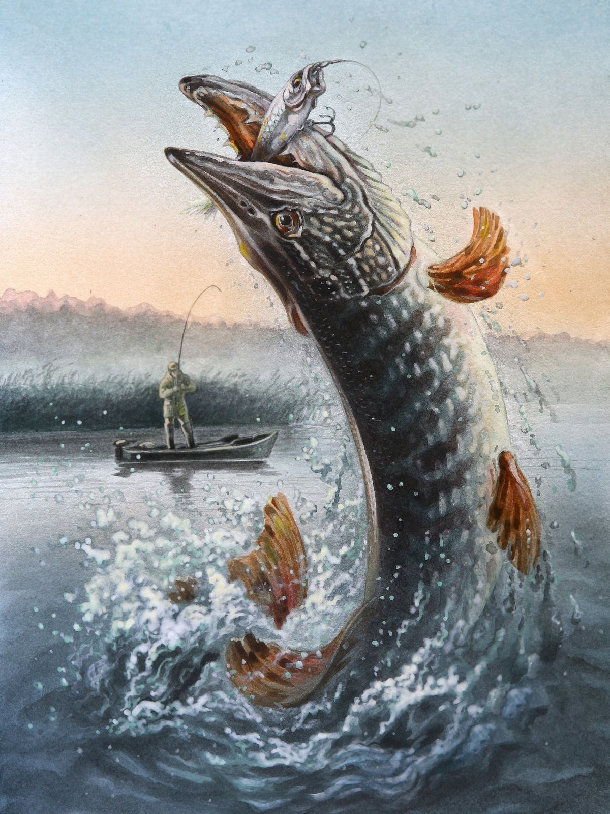 Речные рыбы щука