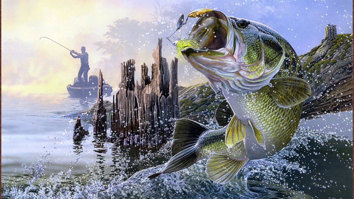 Балтийская щука