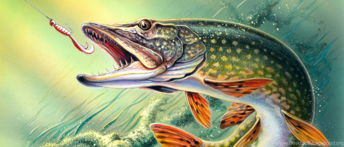 Речные монстры щука Сибирь