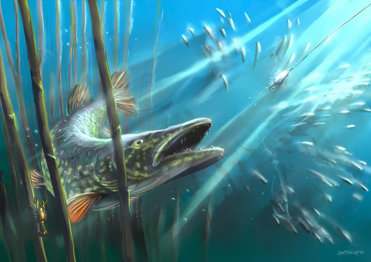 Марк Сузино подводный мир