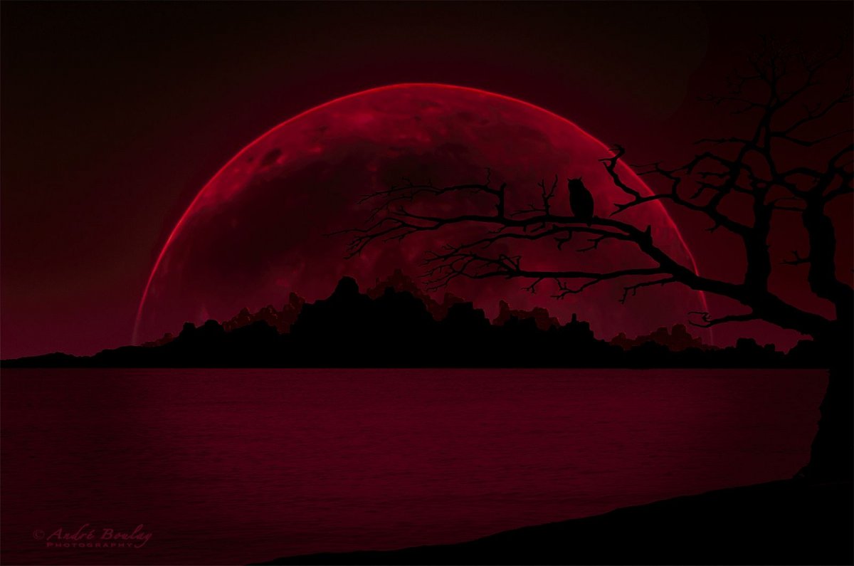 Палас ''Луна красный''