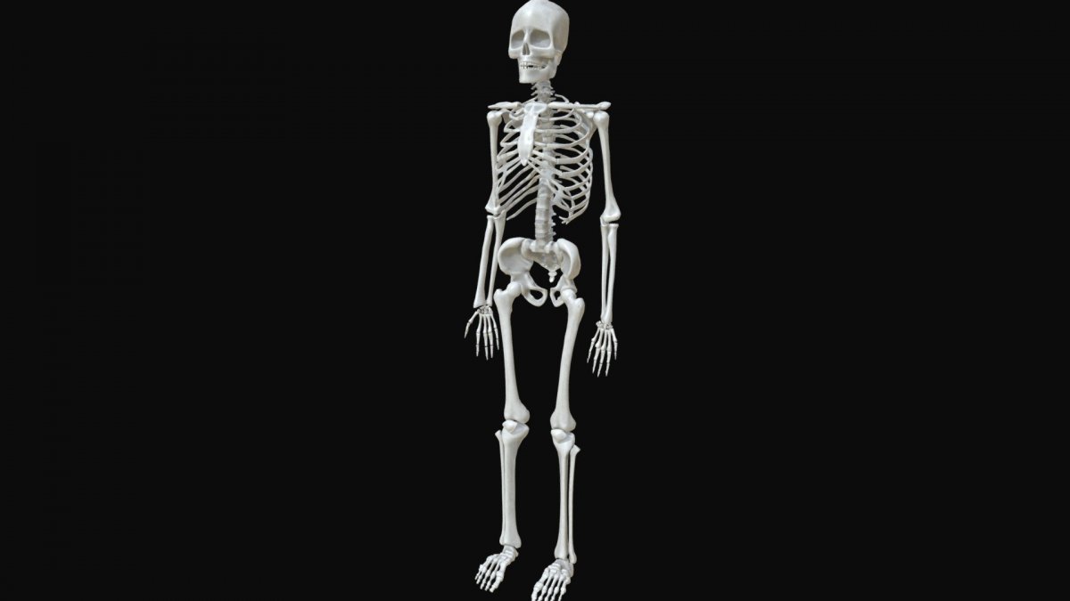 Страшные черепа на рабочий стол