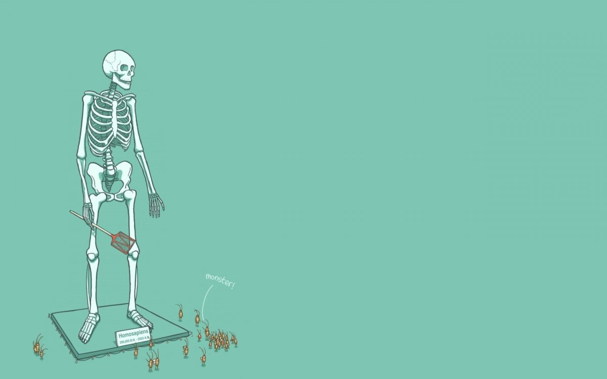 Скелет Минимализм