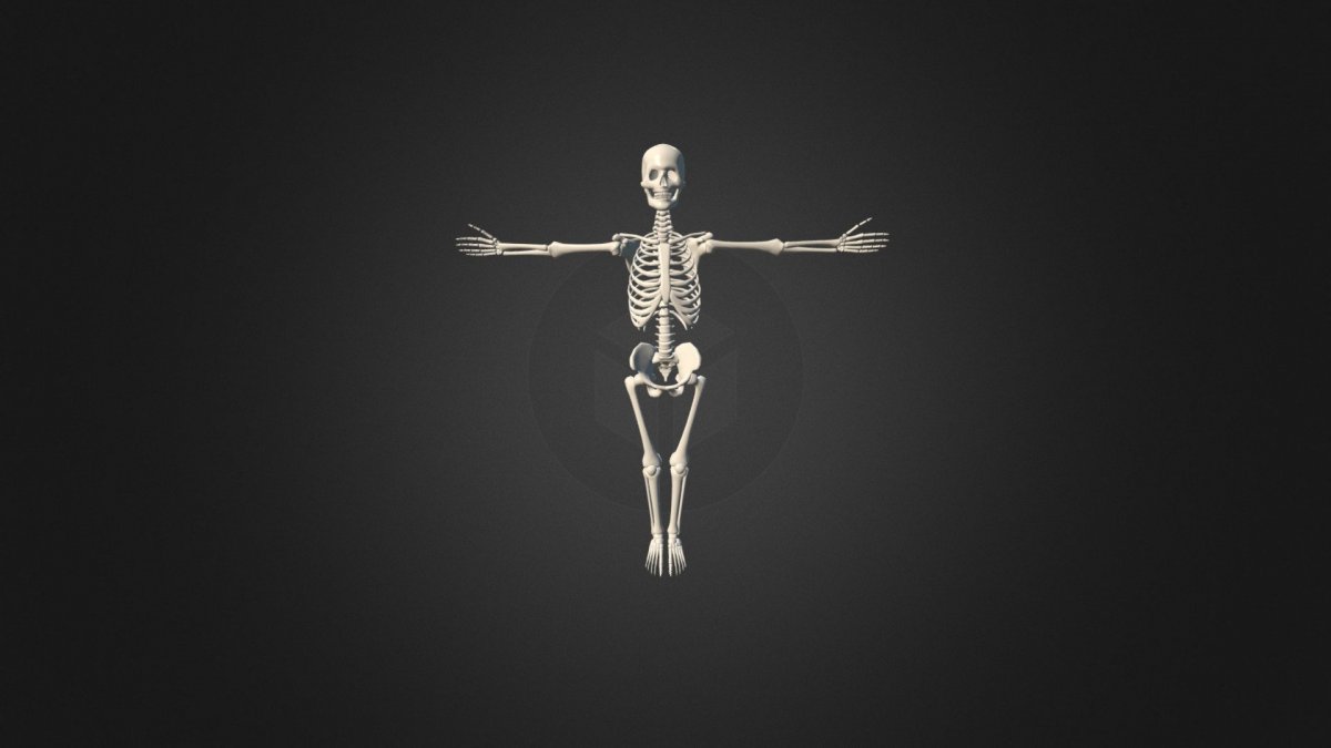 Черные обои со скелетом