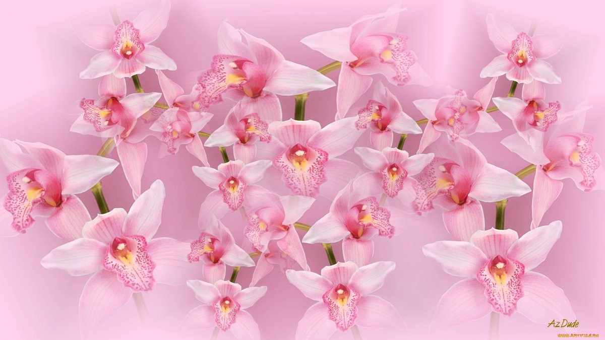 Букет с орхидеей