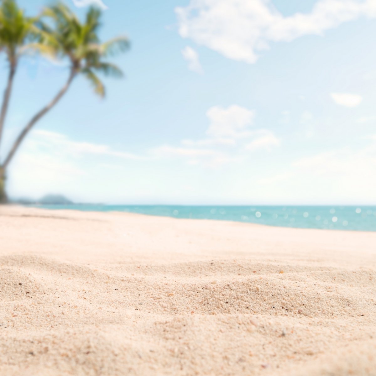 Фон море песок