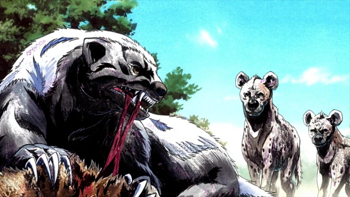 Обои на рабочий стол медоед