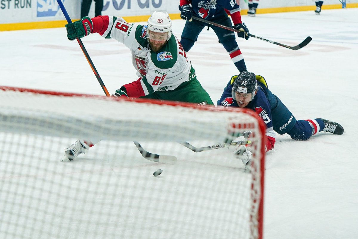 Казанский хоккейный клуб «АК Барс».