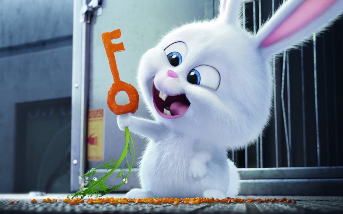 Кролик снежок качок