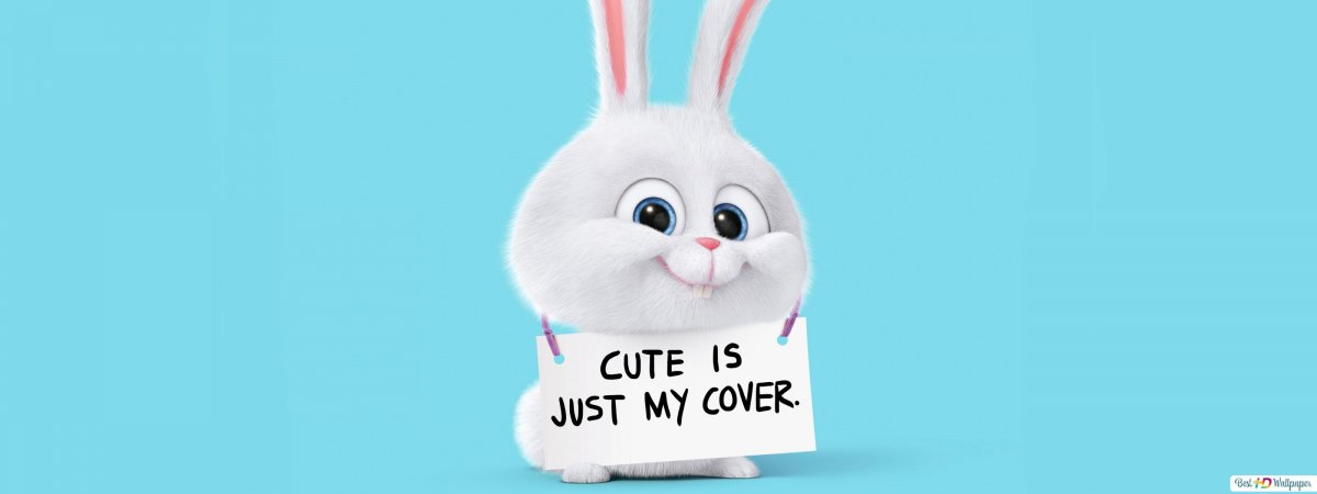 Злая Зайка картинки смешные