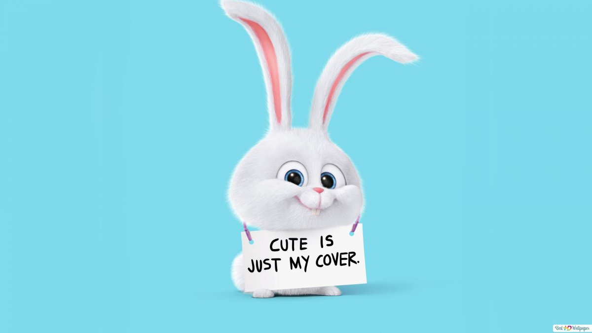 Жизнь домашних животных кролик