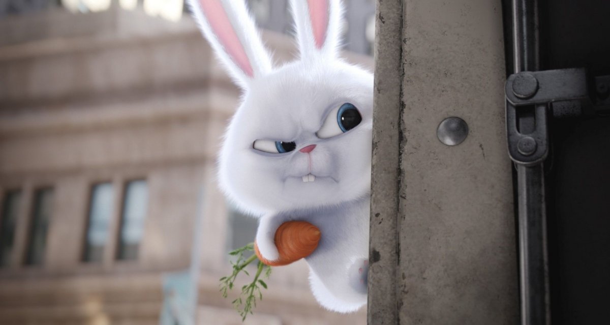 Кролик снежок обои