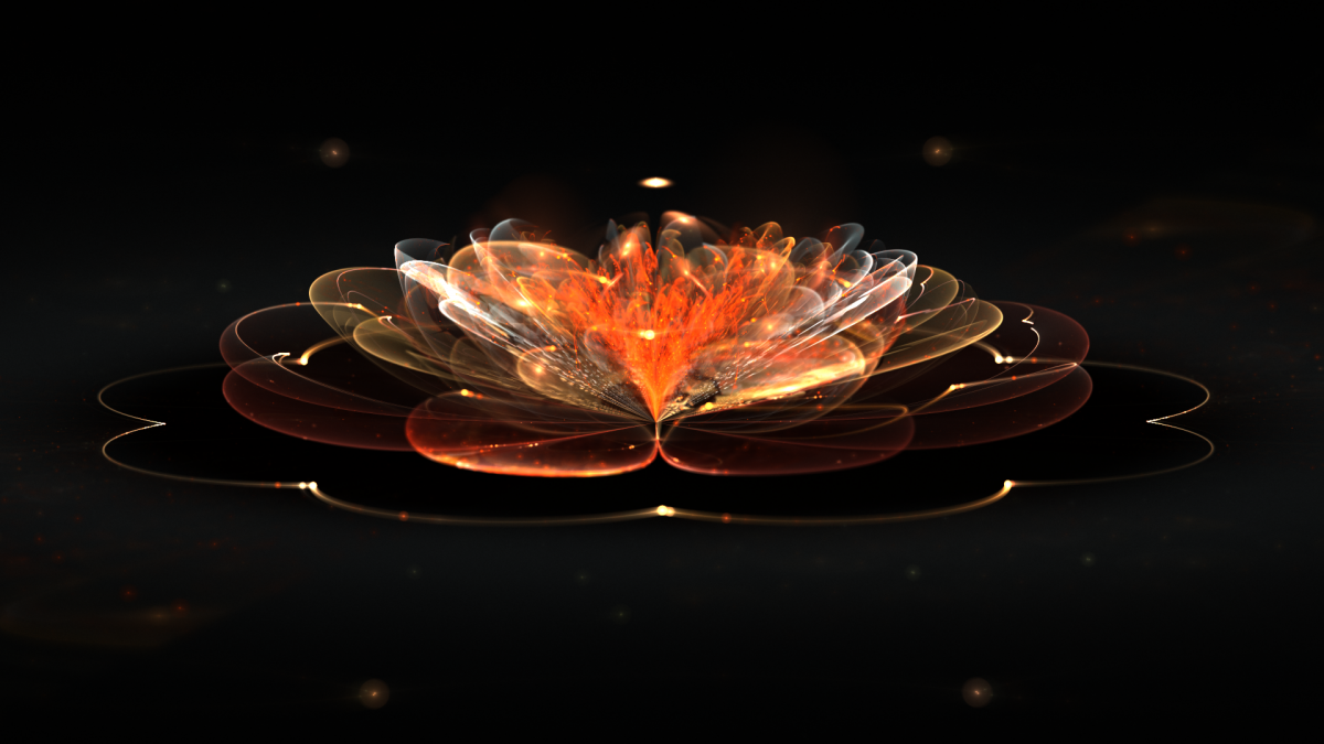 Хрустальный лотос обои на рабочий стол