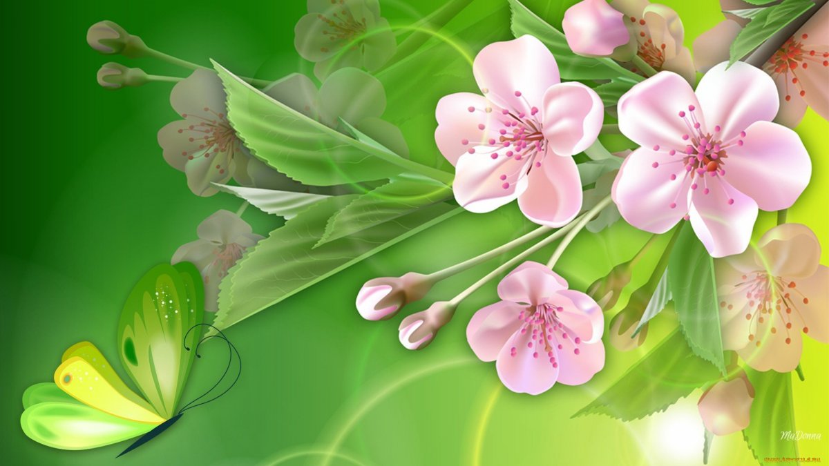 Весенние цветы на зеленом фоне