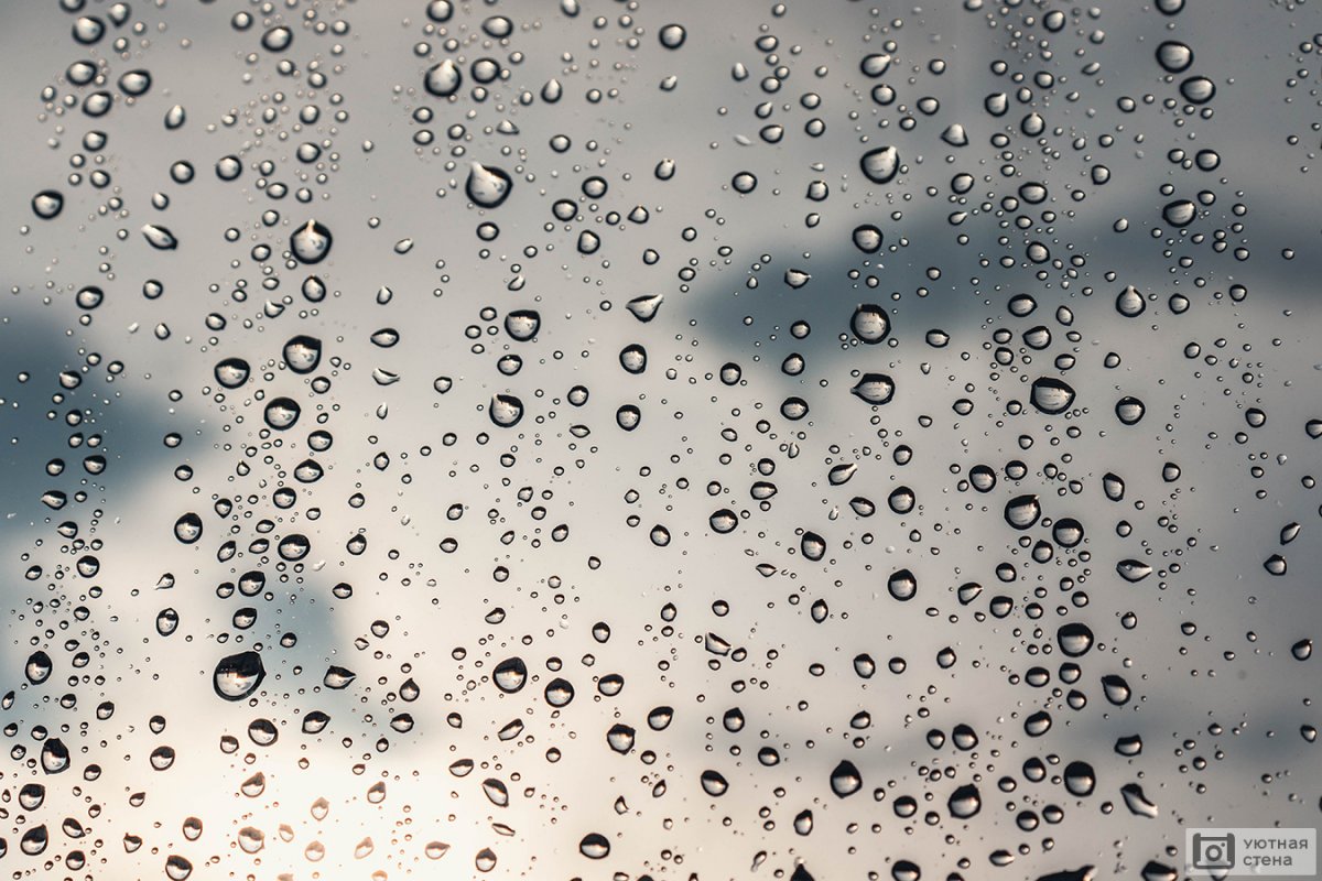 Фон на телефон красивые