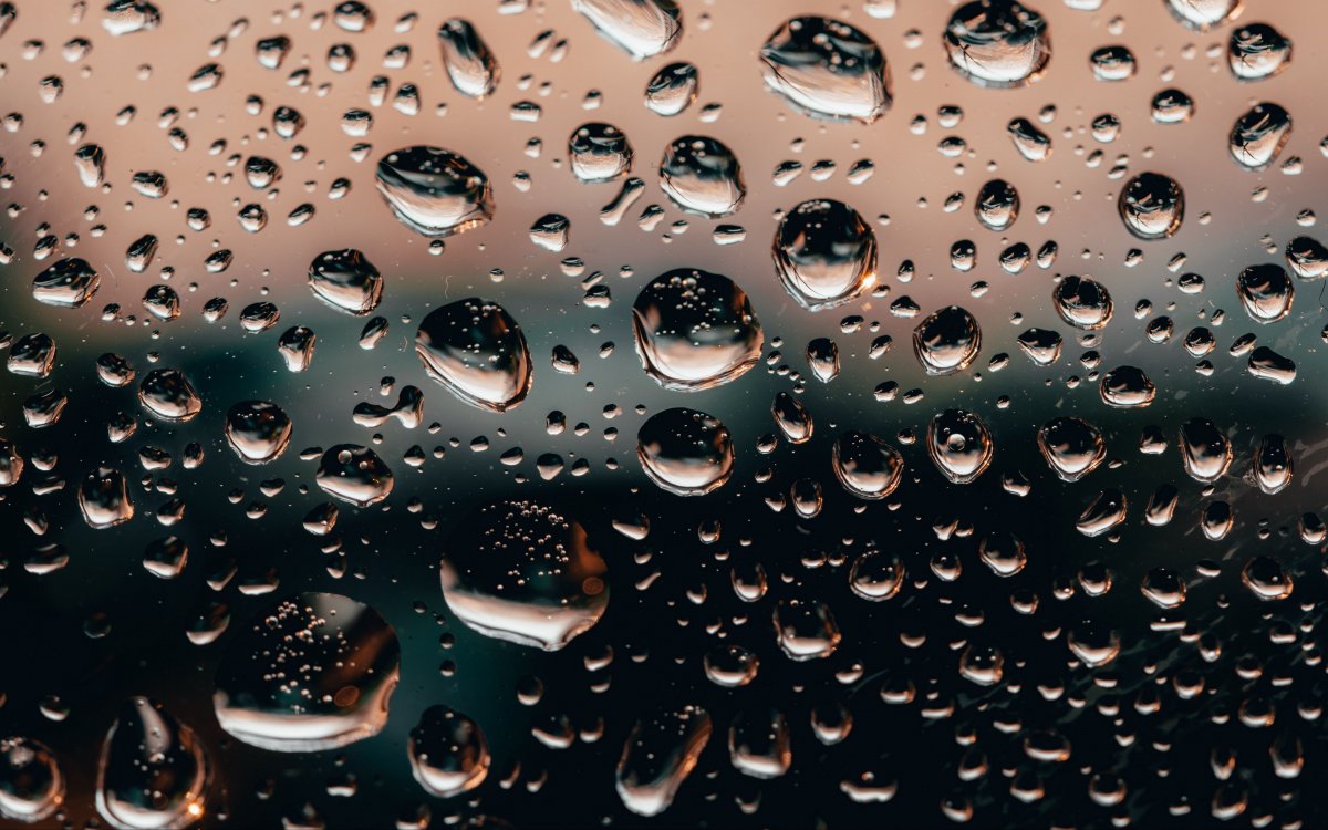 Обои на смартфон