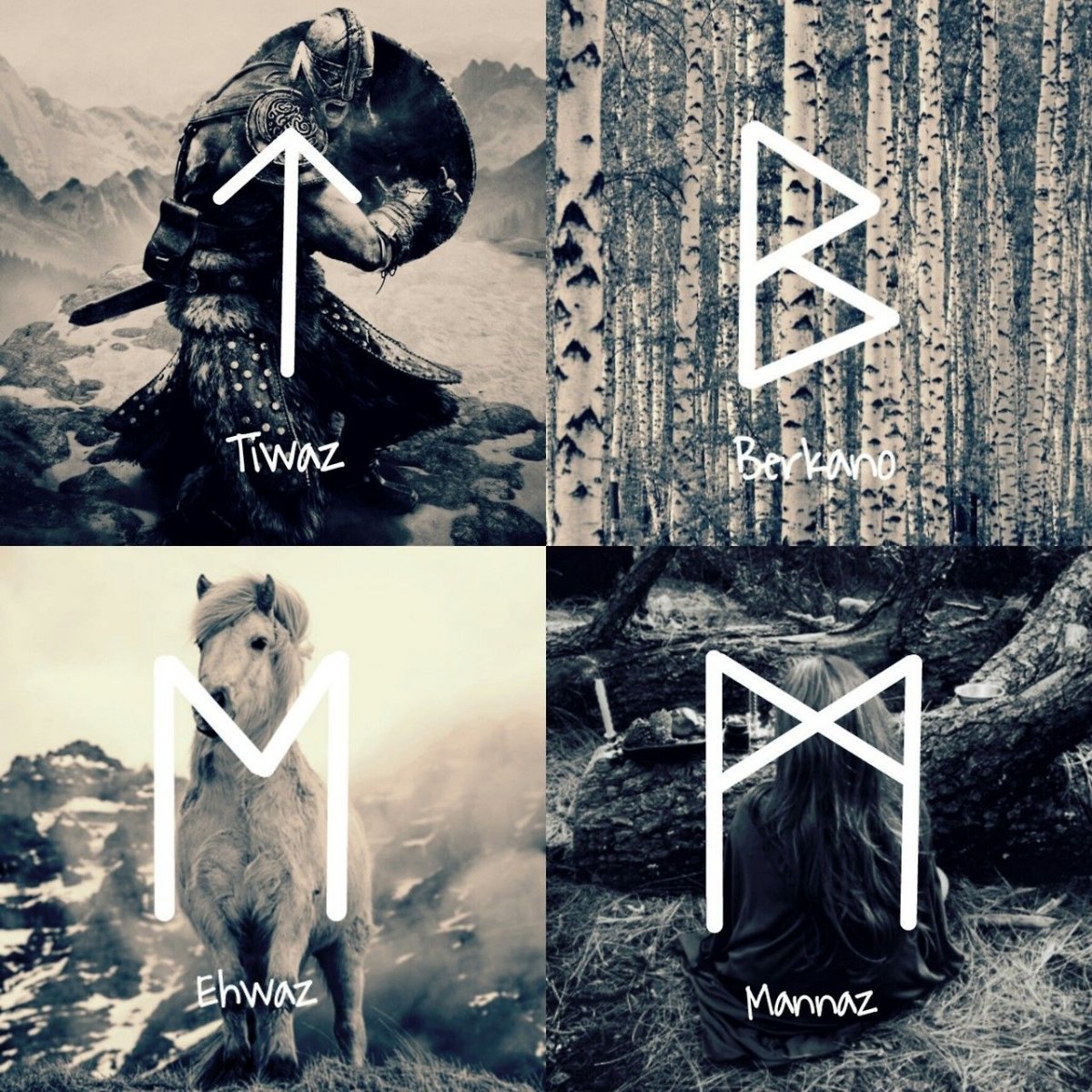 Руны викингов Тейваз