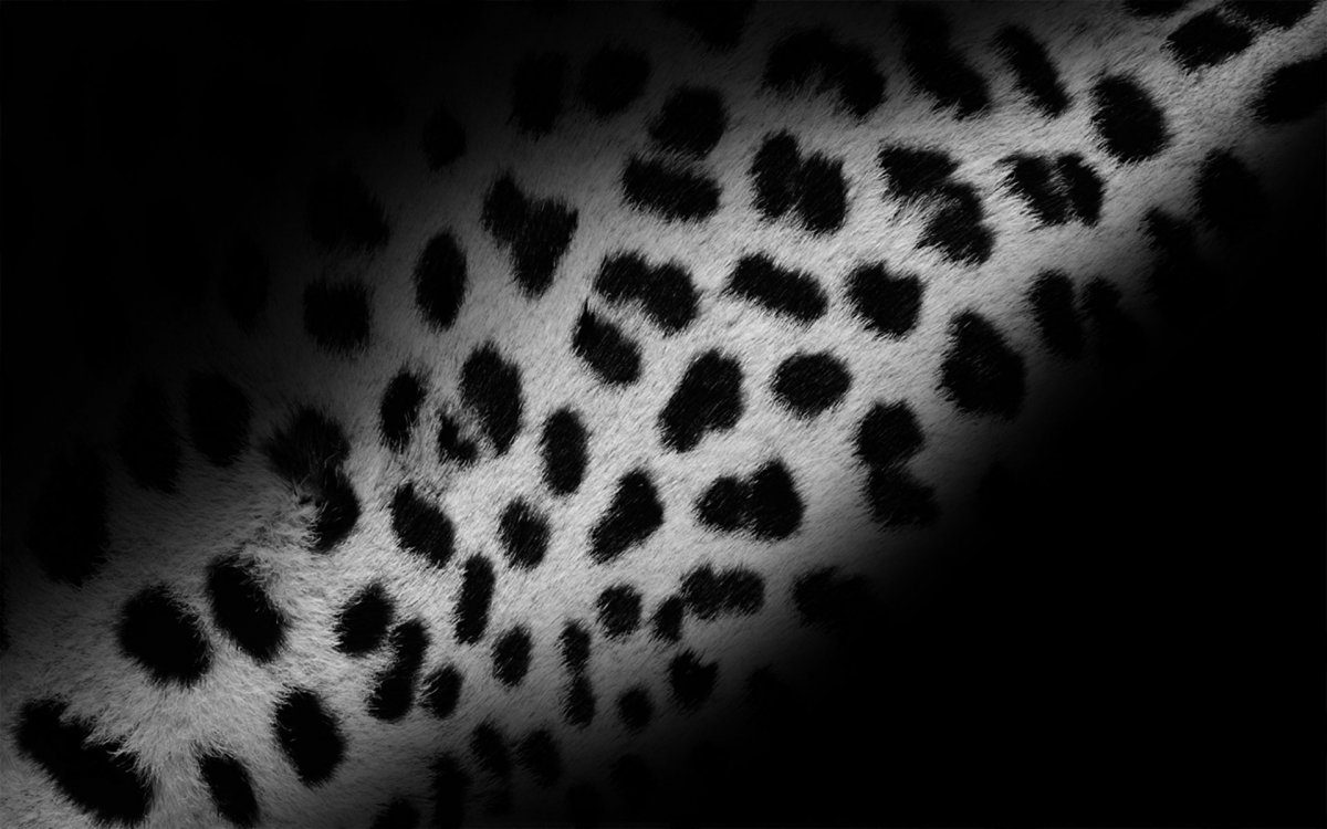 Леопардовый принт на зеленом фоне