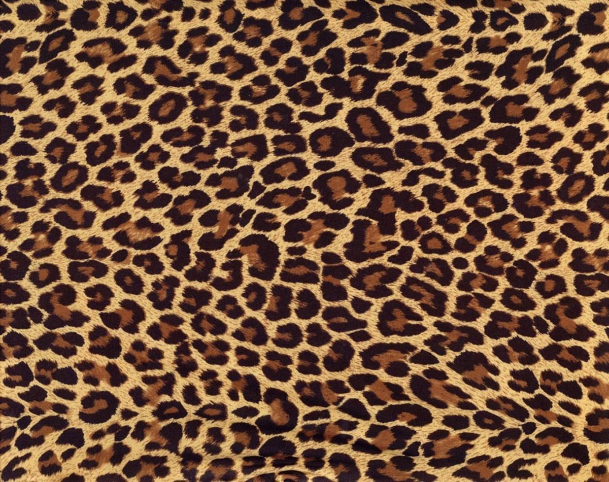 Леопардовый принт обои