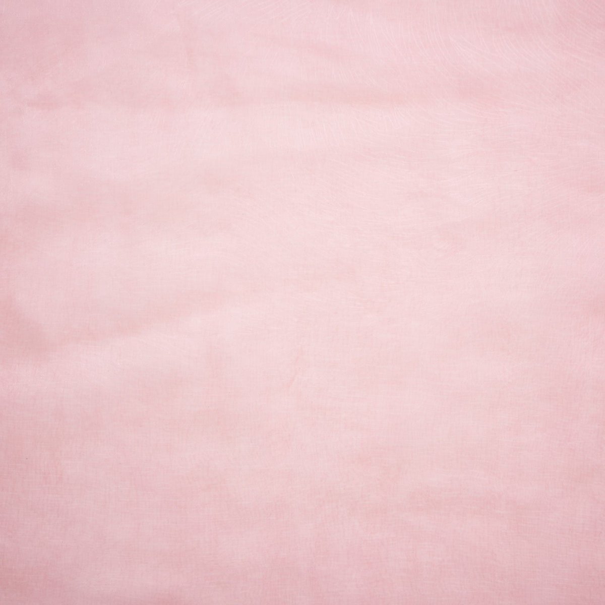 Коко Локо роза цвет