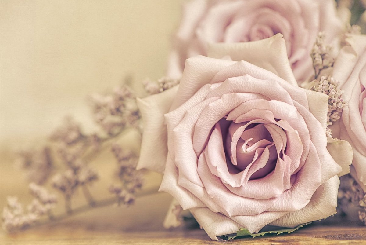 Грязно розовый фон однотонный