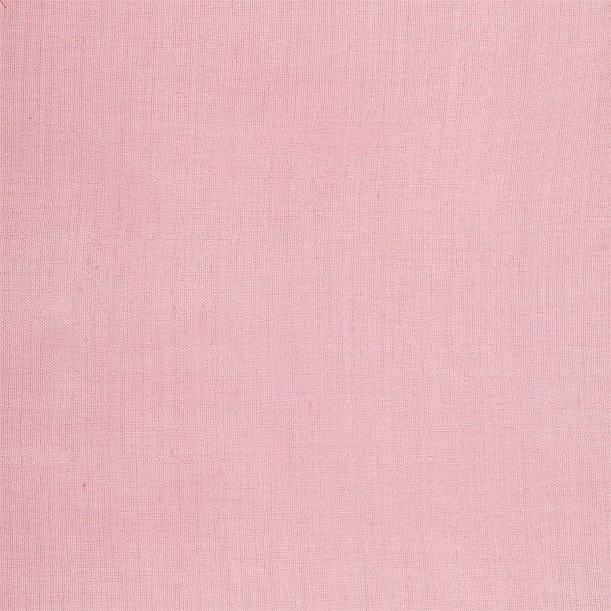 Обои Caselio 25034120