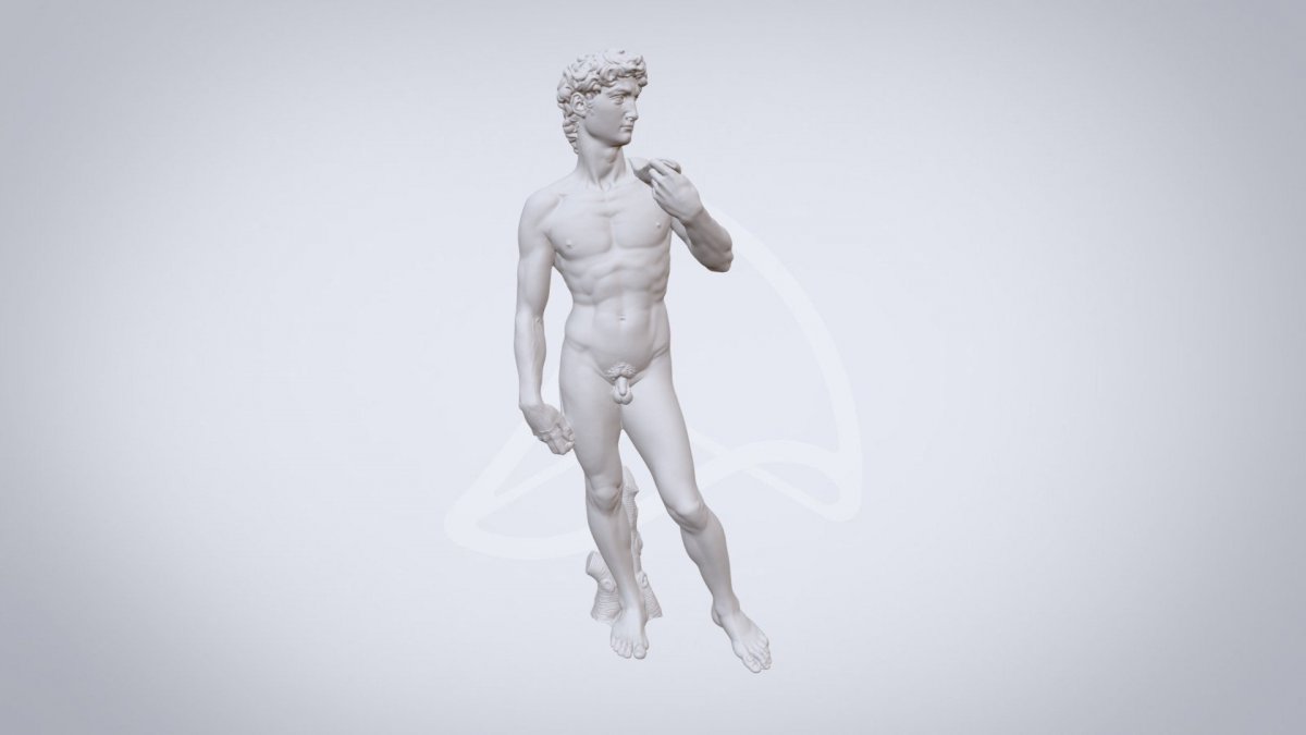 Давид Микеланджело Эстетика