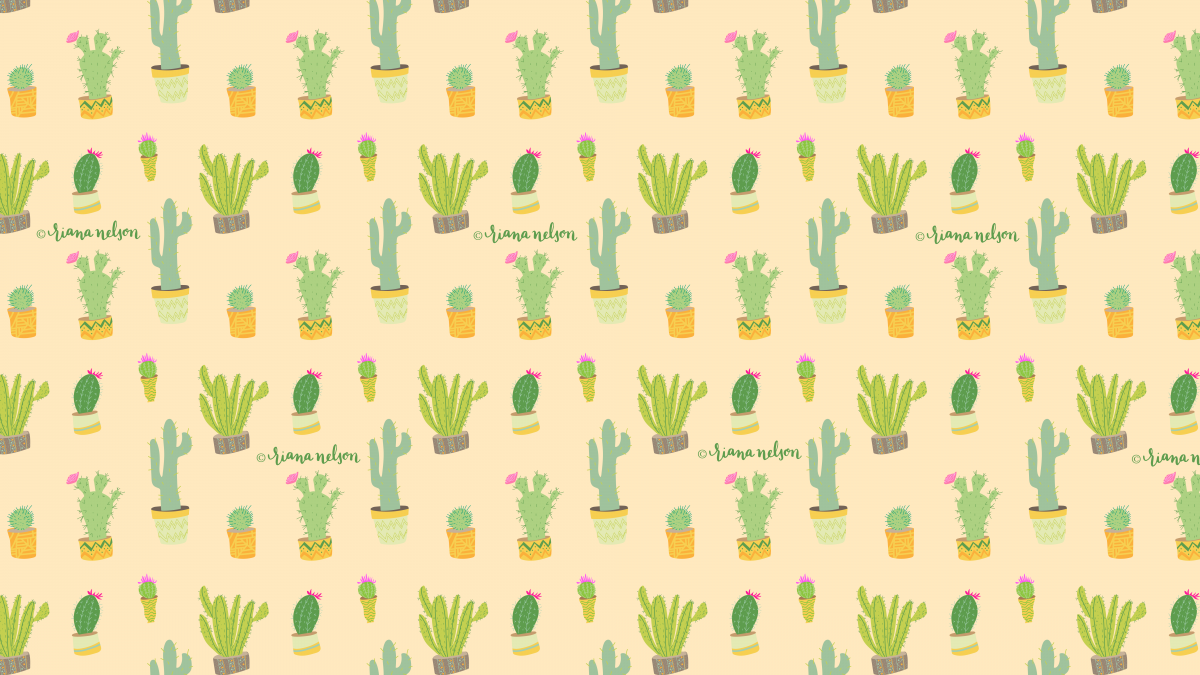 Обои с кактусами
