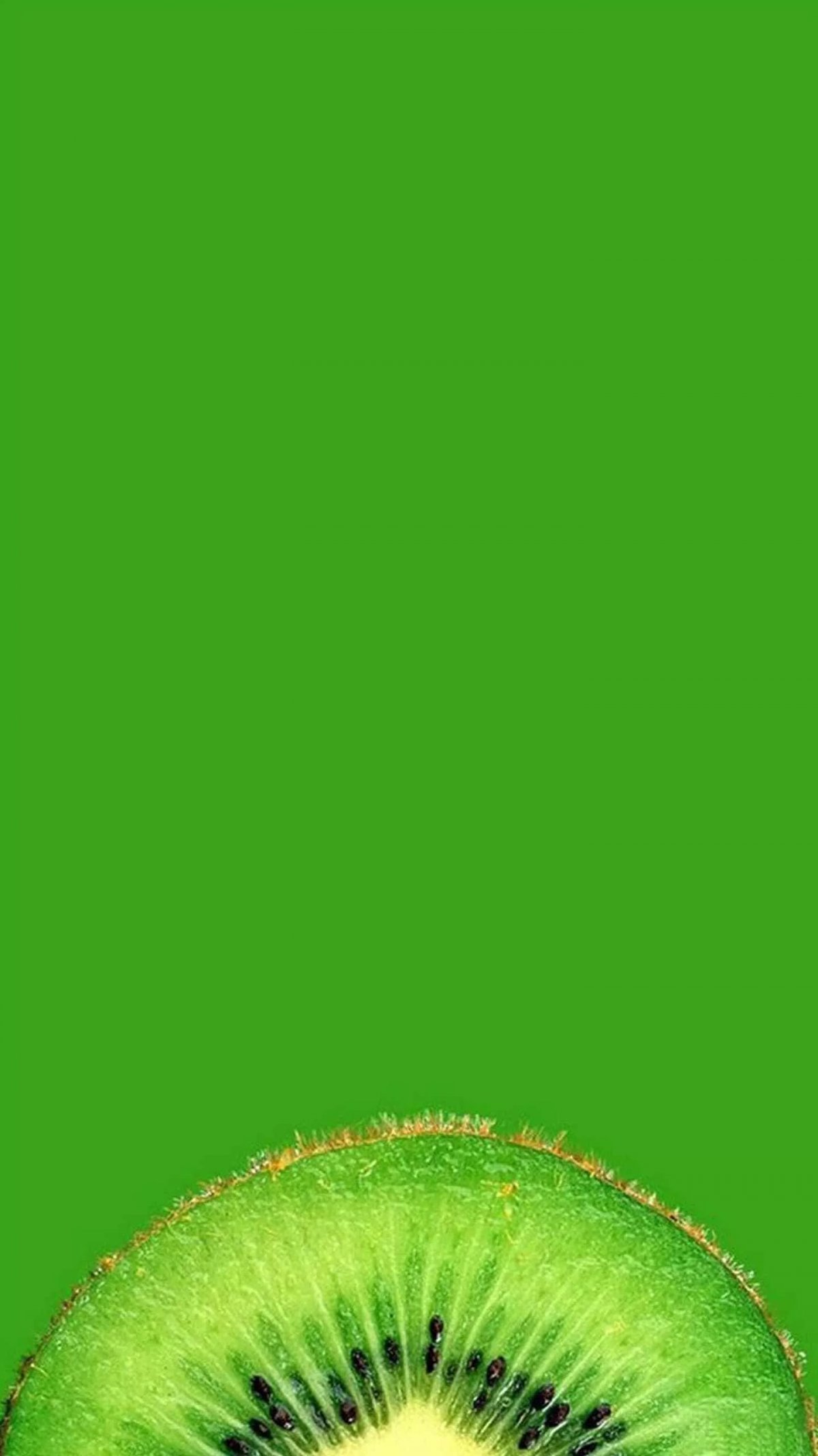 Темно зеленый фон