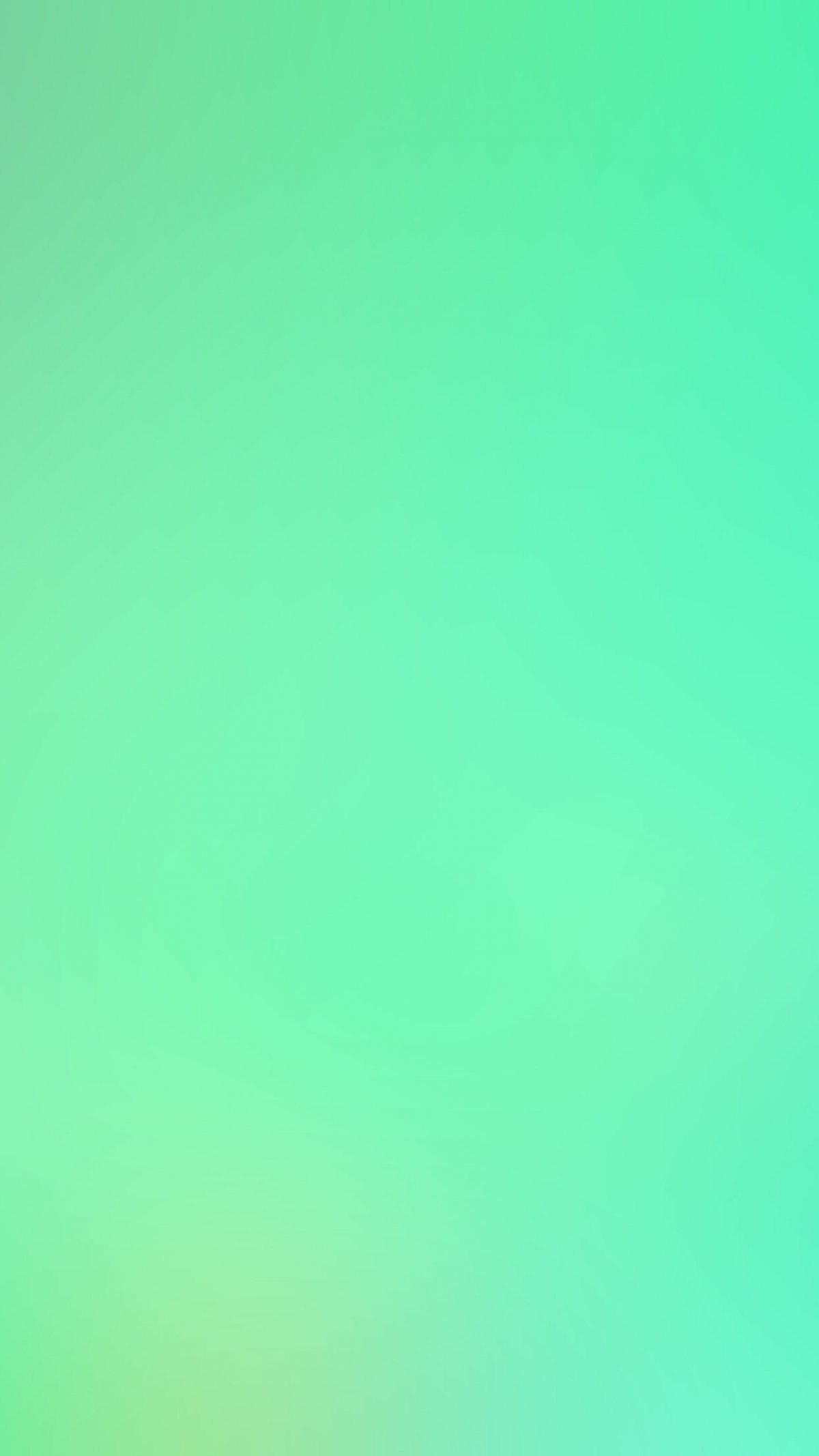 Сплошной цвет