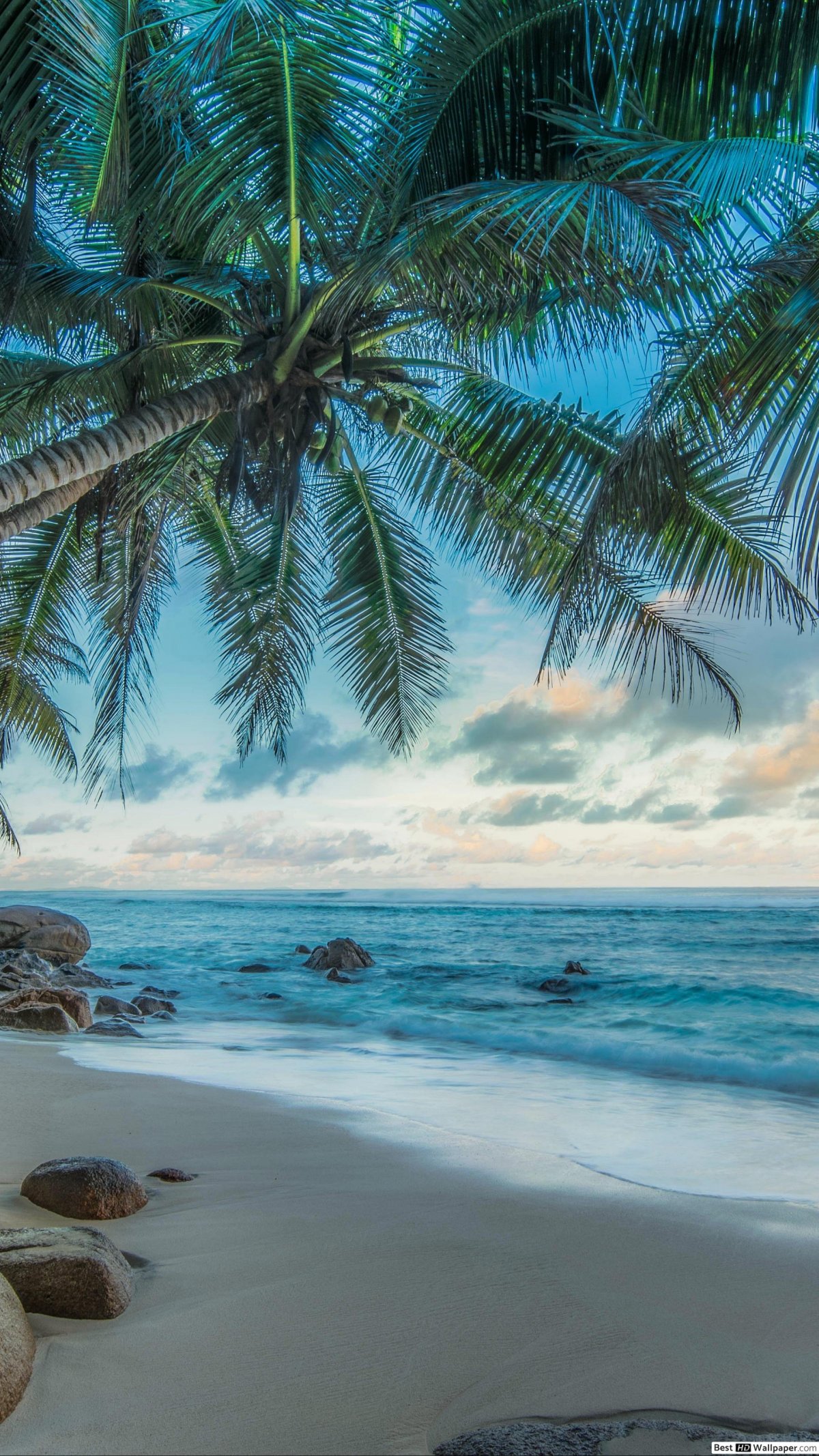 Тропический пляж