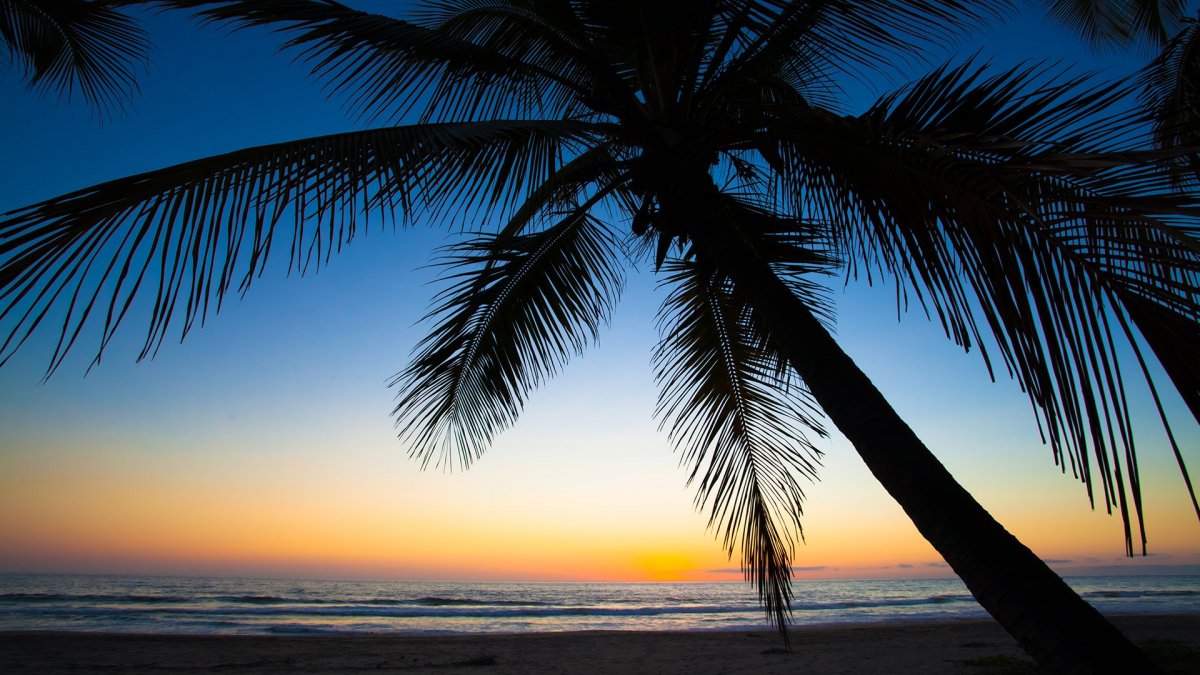 Карибы тропики