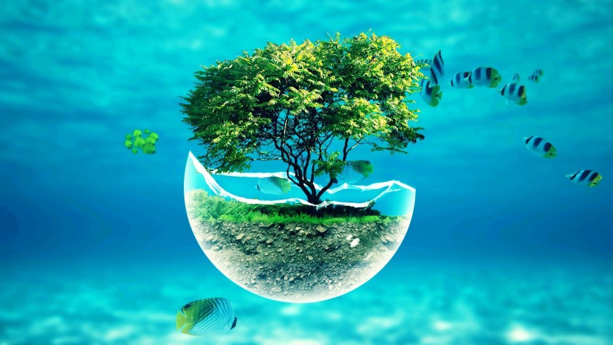 Природа под водой