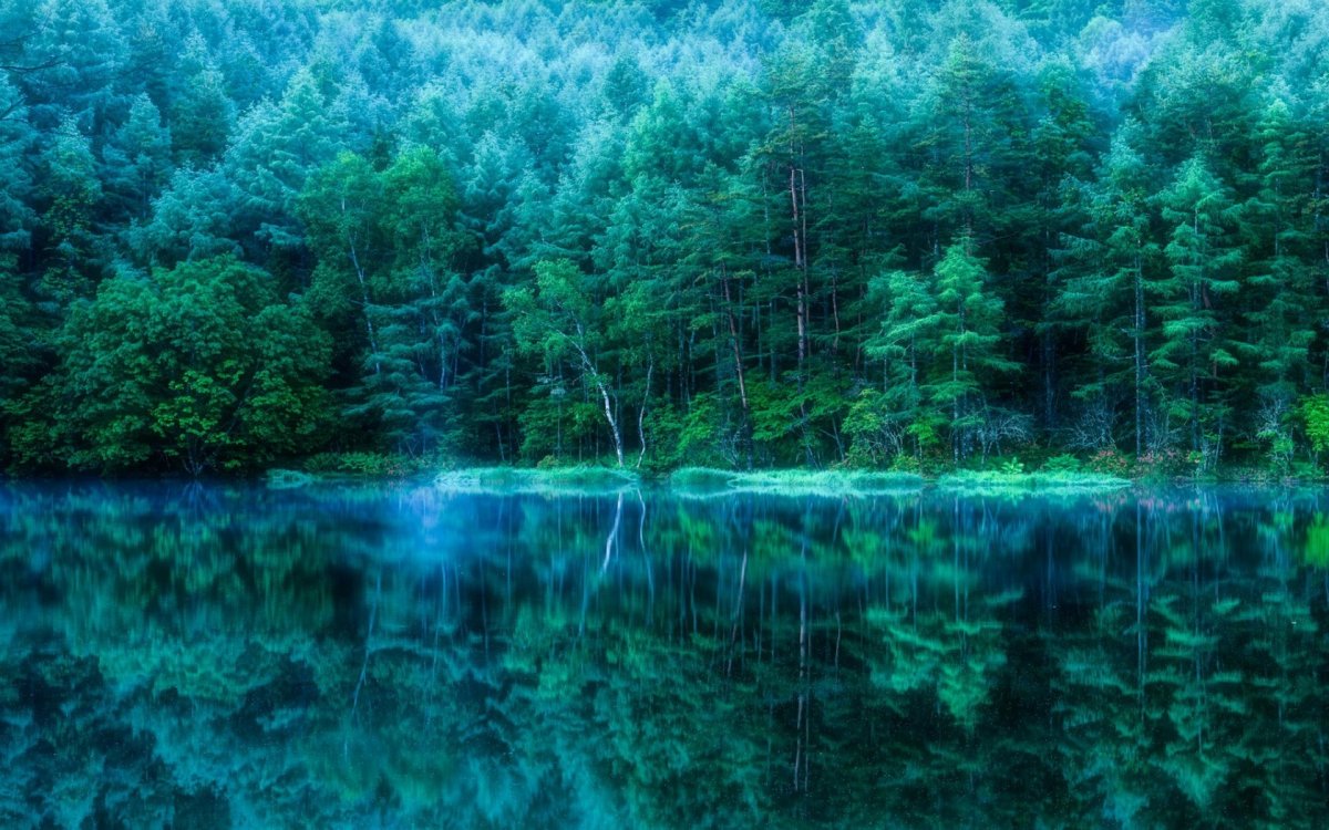 Лесное озеро (Forest Lake)