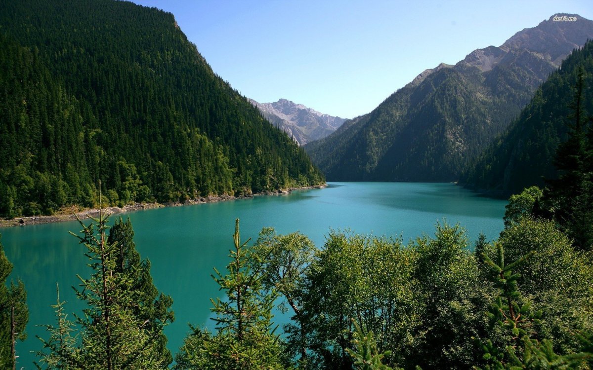 Озеро Рица в Абхазии HD