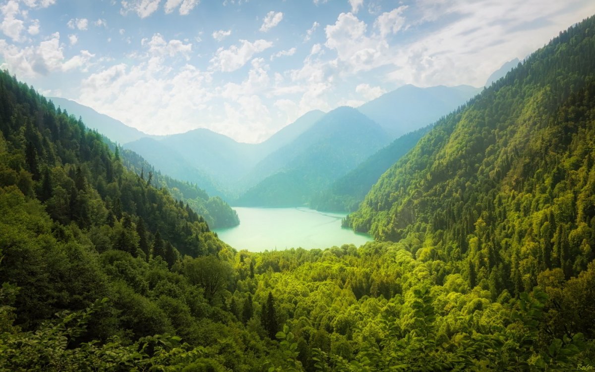 Озеро Рица картина