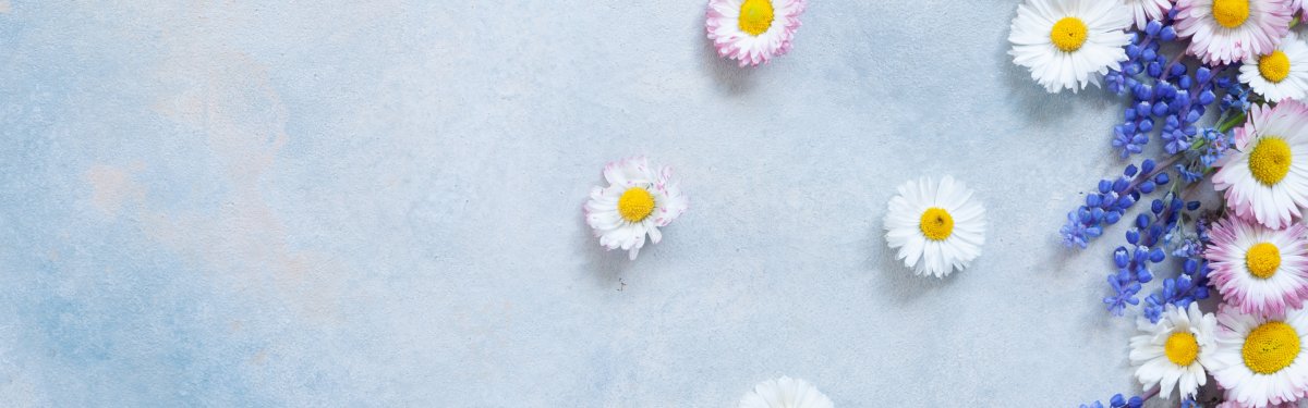 Подложка Ромашка