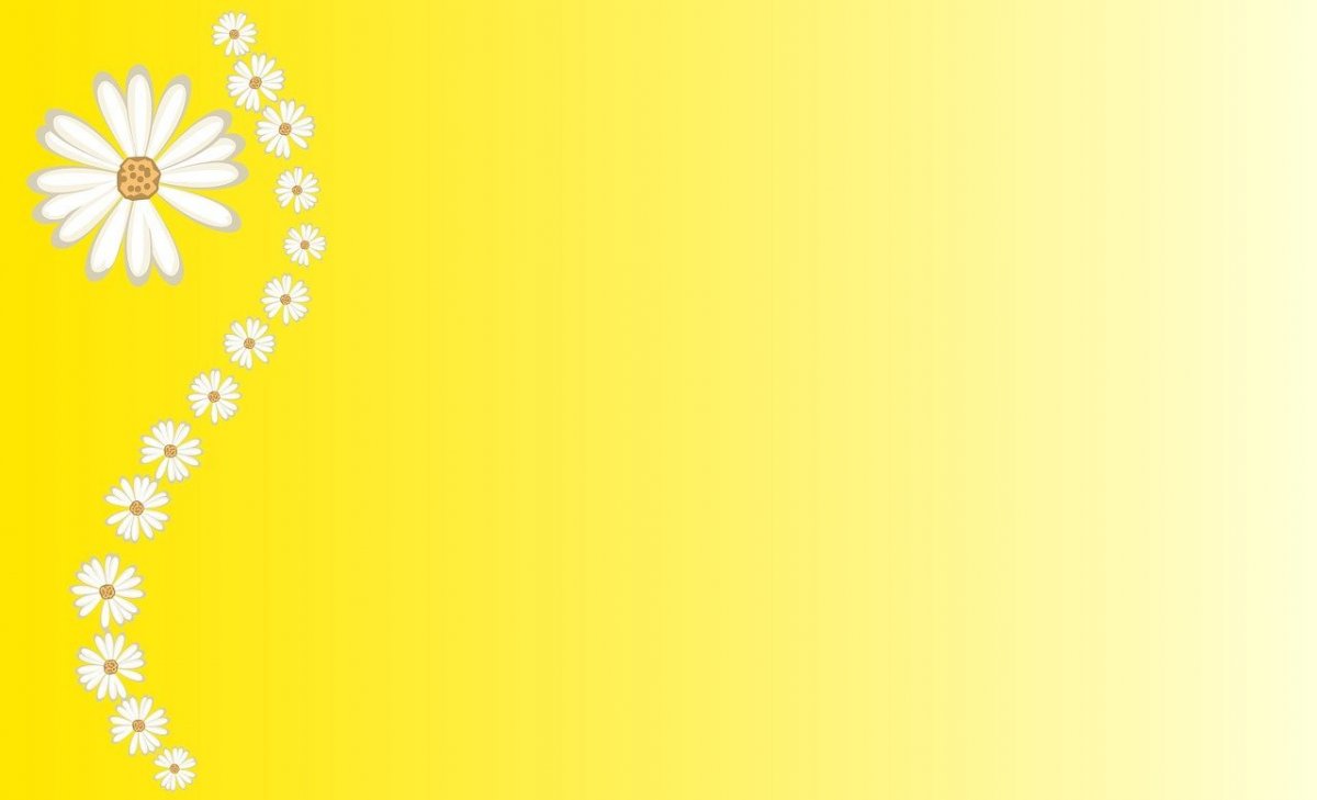 Нежный фон с ромашками