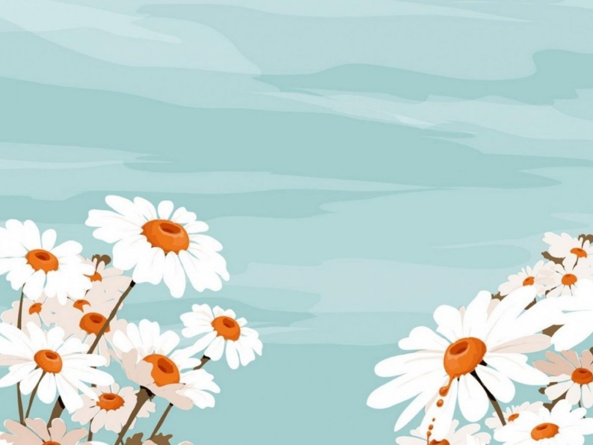 Фон ромашки