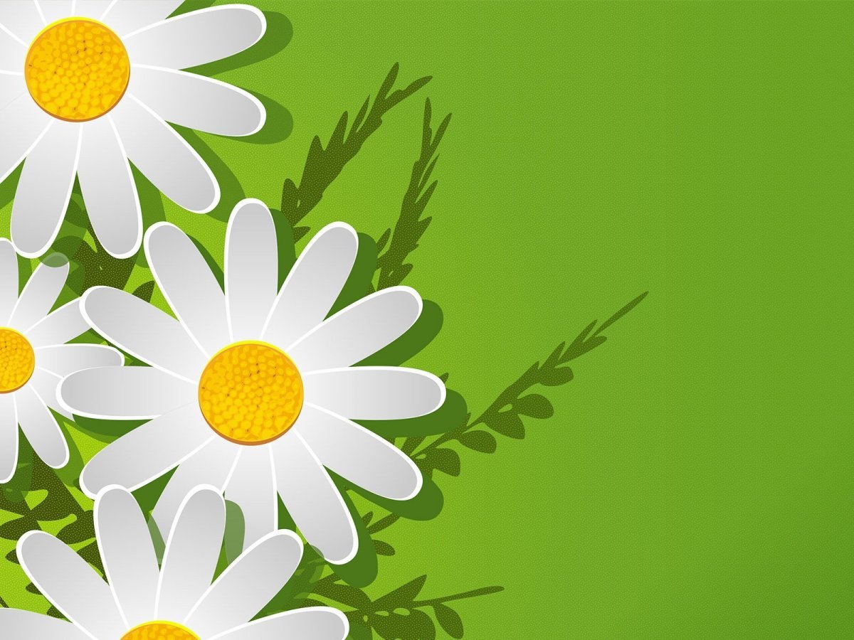 День медика фон для презентации с ромашкой