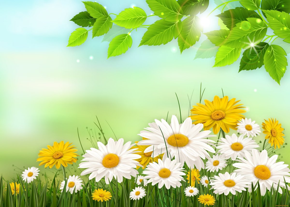 Светло голубые цветы