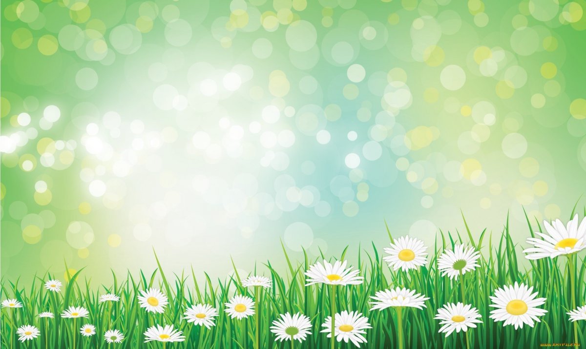 Фон для презентации ромашки