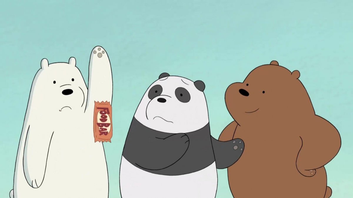 Картун нетворк вся правда о медведях