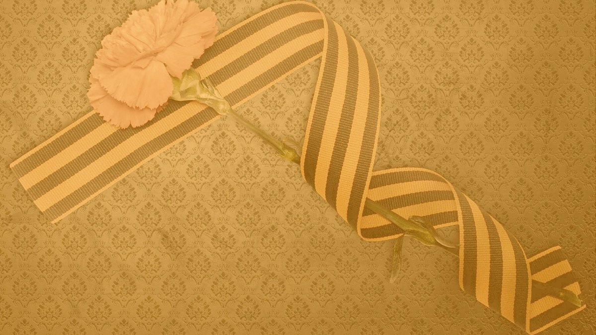 Фон о войне гвоздики