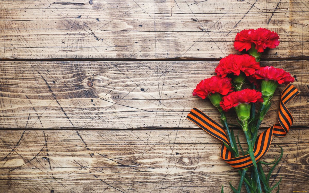 Гвоздики 9 мая
