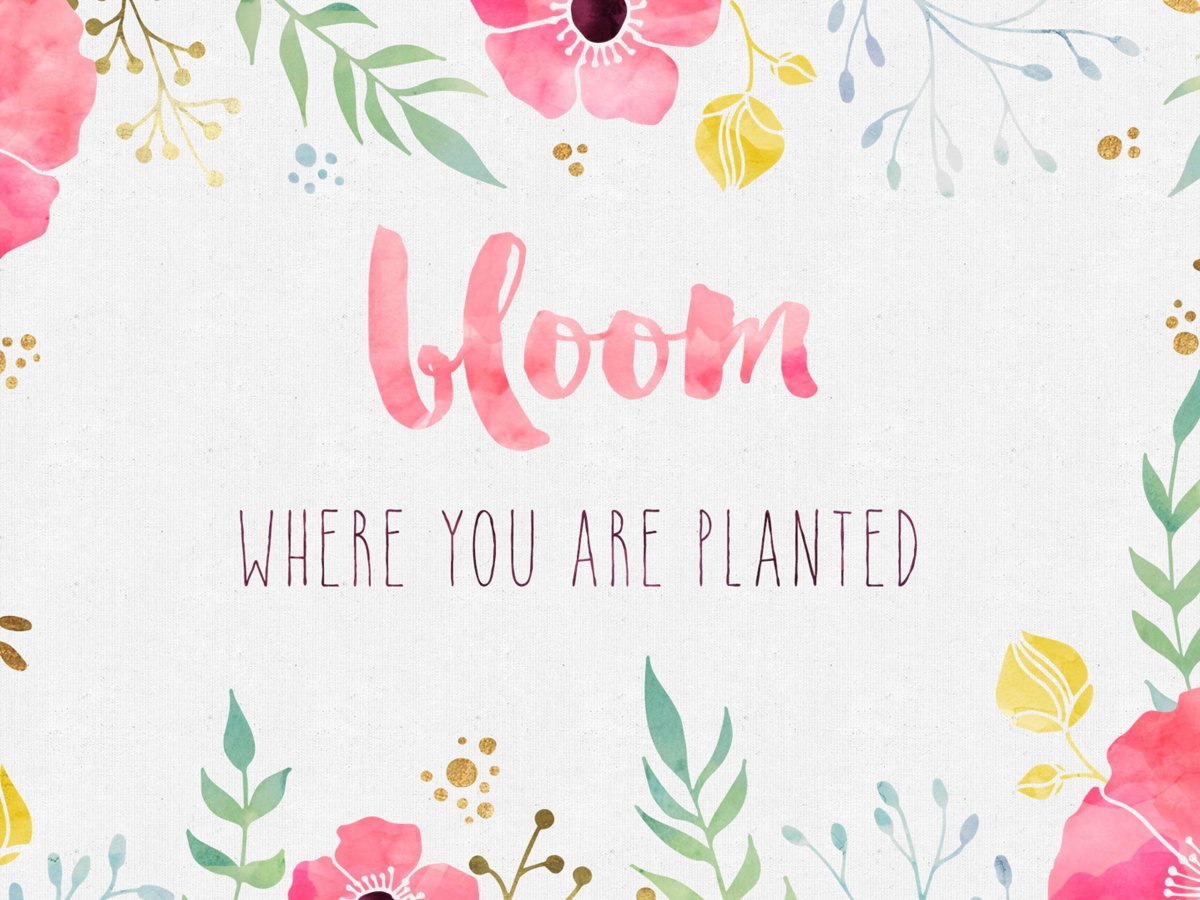 Фон для пригласительных цветочный яркий