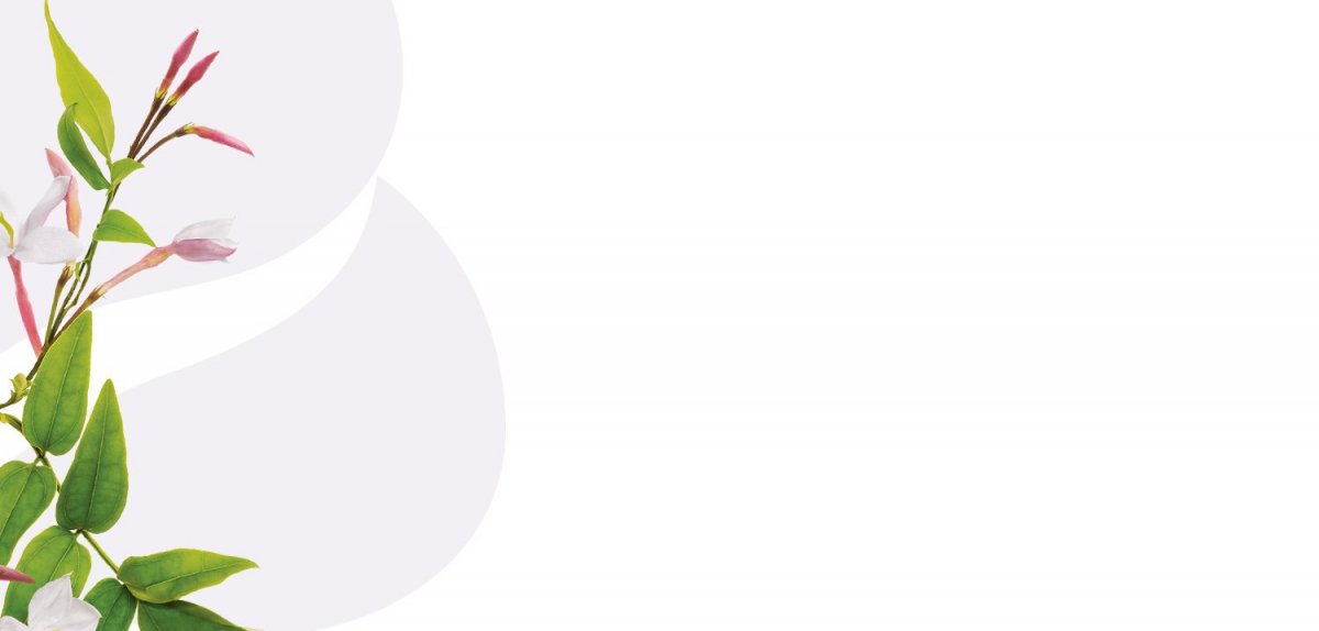 Массаж фон вертикальный